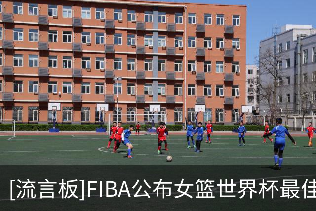 [流言板]FIBA公布女篮世界杯最佳阵容：斯图尔特&杰基-杨&加比入选